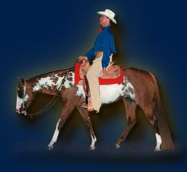 Zipman APHA World Champion Stallion